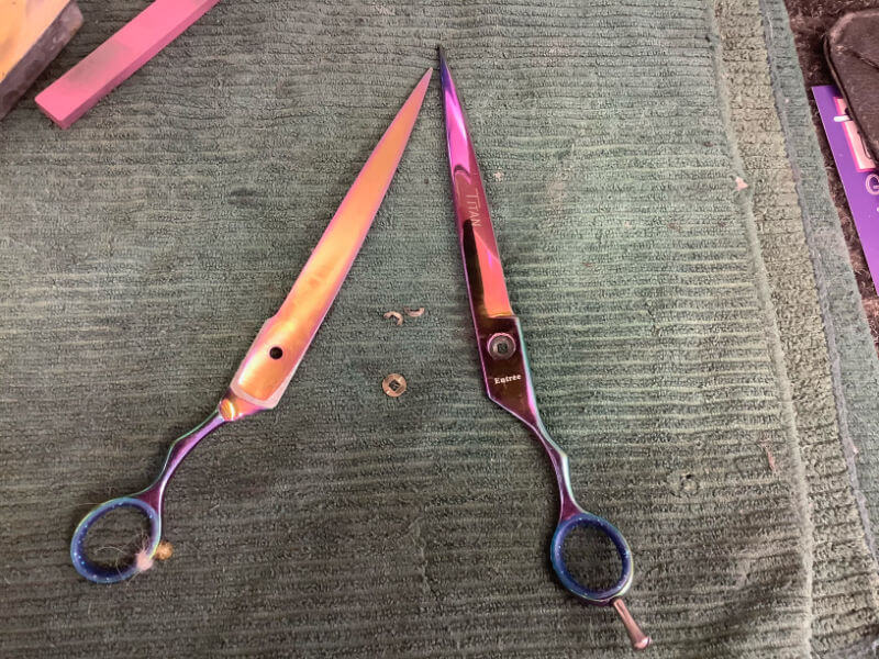 scissor care