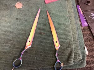 scissor care and maintenance