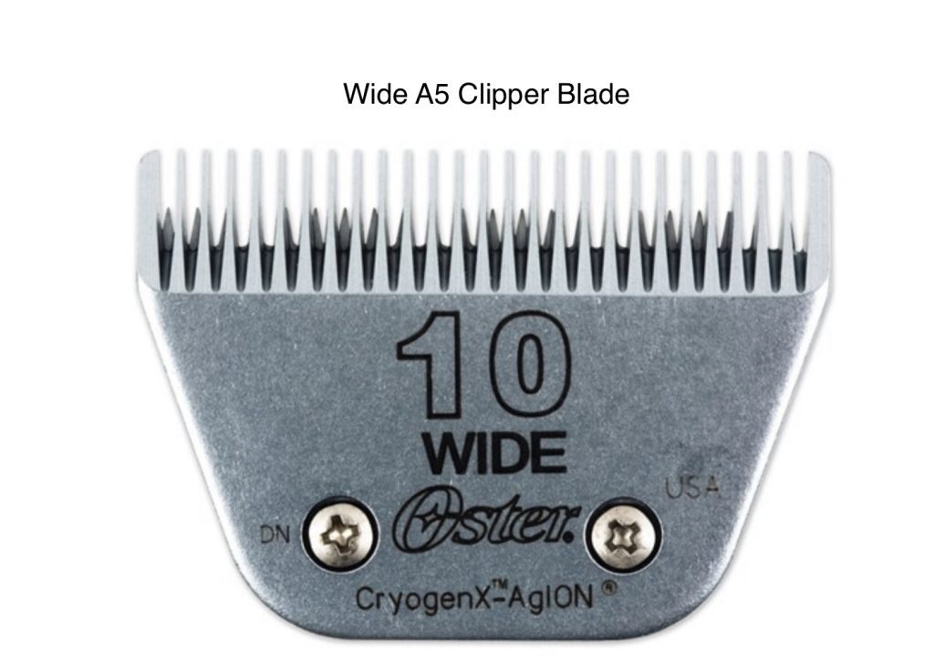 Dog Grooming Clipper Blade Care Maintenance Leading Edge