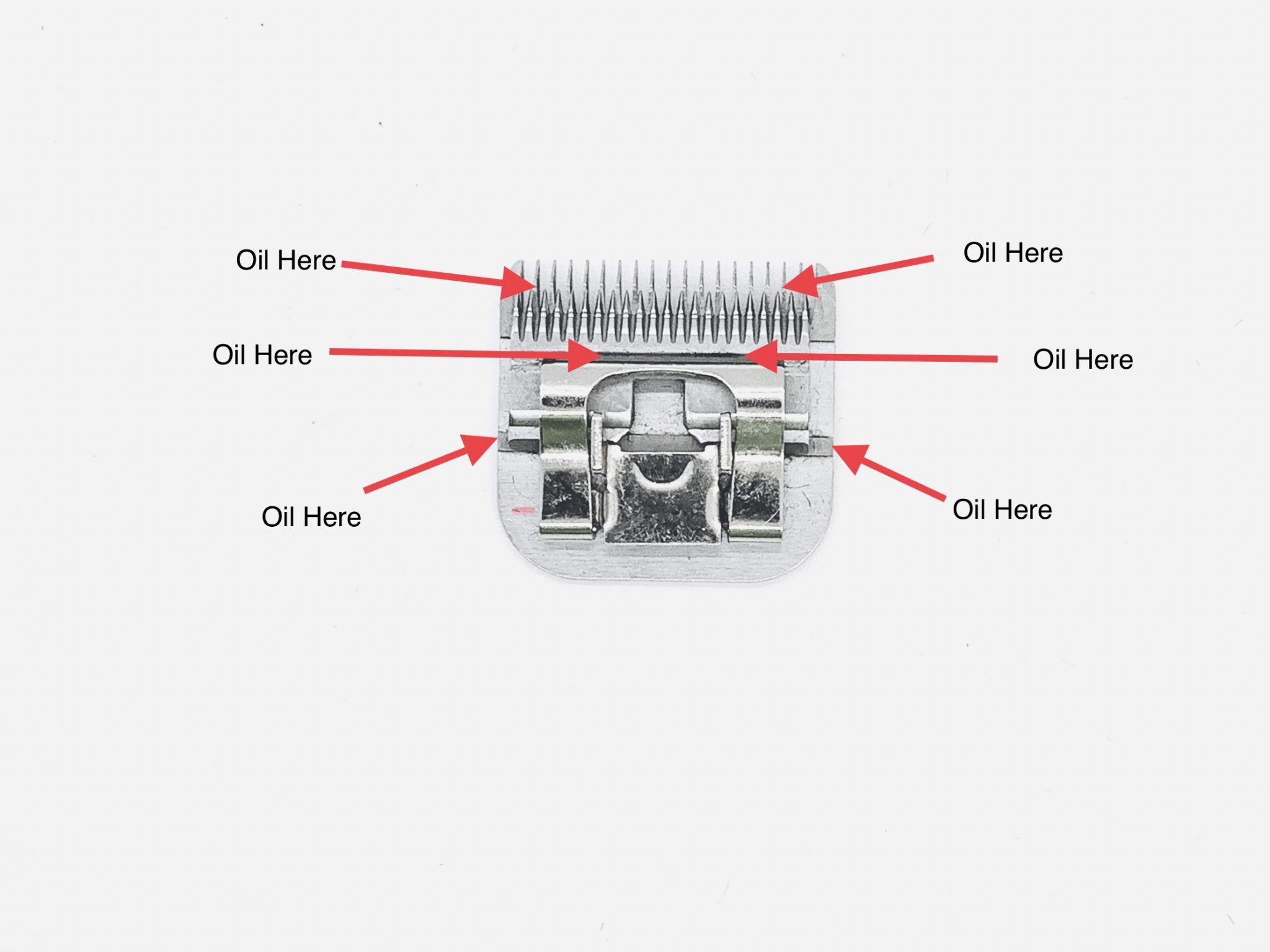 Dog Grooming Clipper Blade Care & Maintenance Leading Edge Sharpening Services