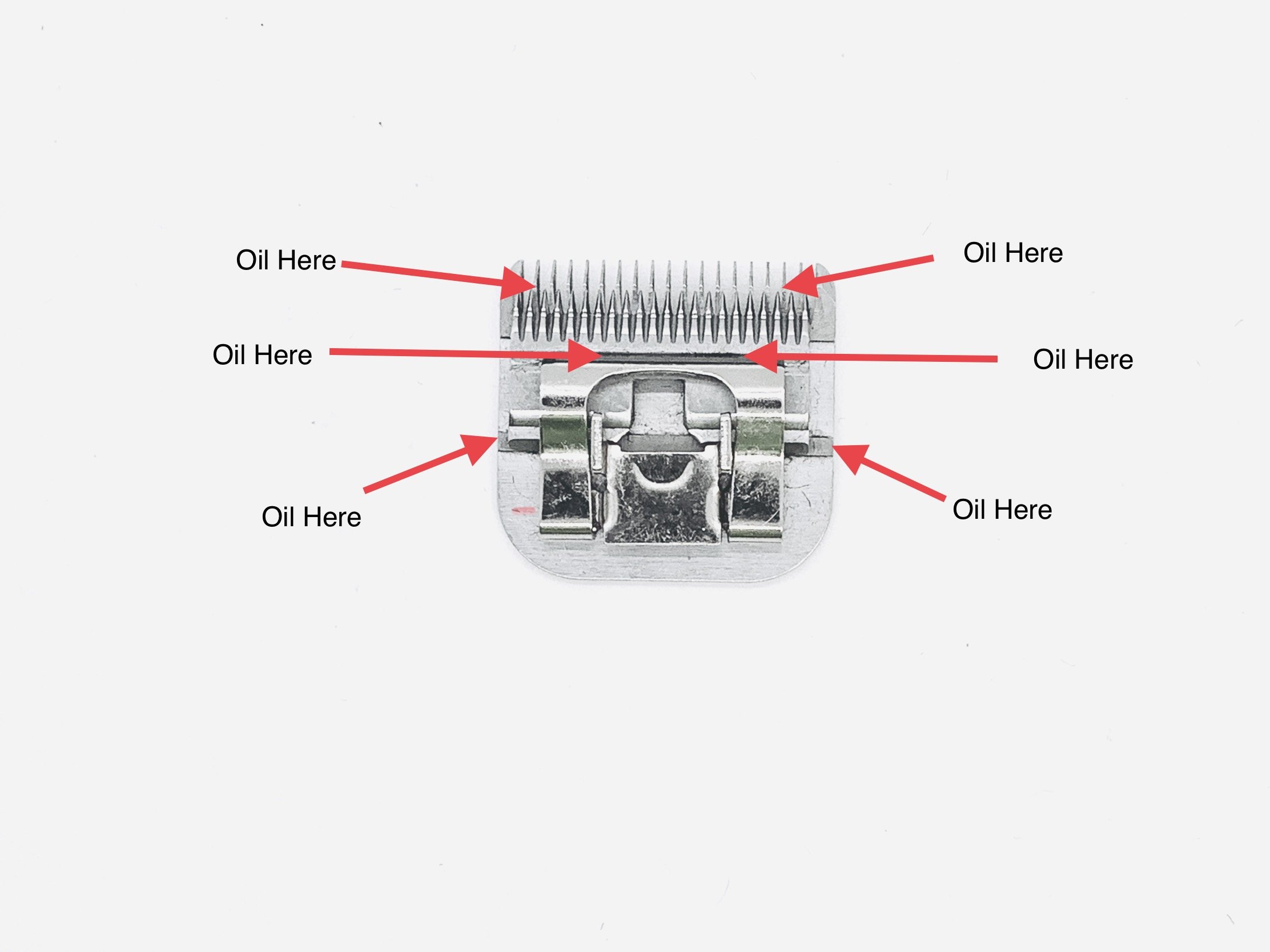 How to Oil a Clipper Blade 