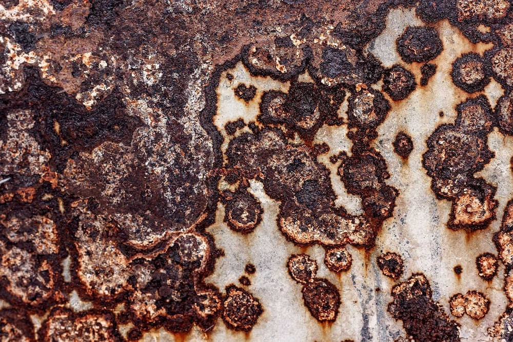 rust pitting on steel