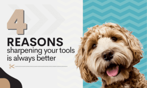 replace or sharpen grooming tools