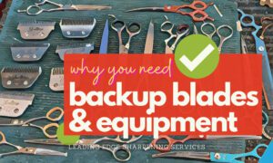 backup blades and equipment