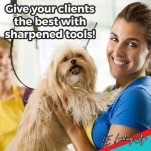 This image shows a dog and a woman that has a good relationship with tool sharpener.