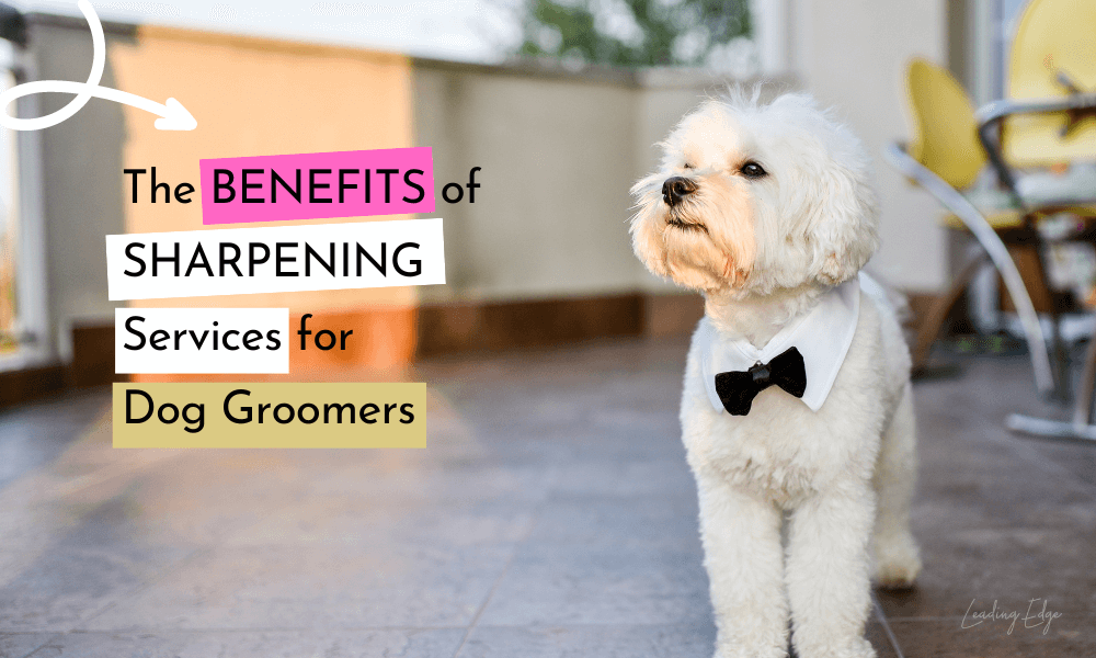 Dog grooming blade outlet sharpening service