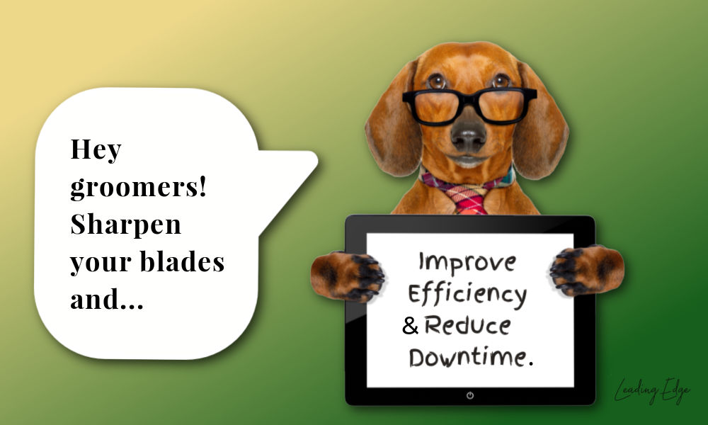 Benefits Of Sharpening Services For Dog Groomers Leading Edge