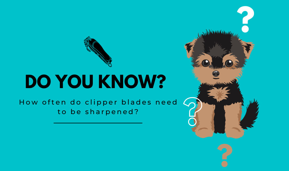 how often do clipper blades need to be sharpened