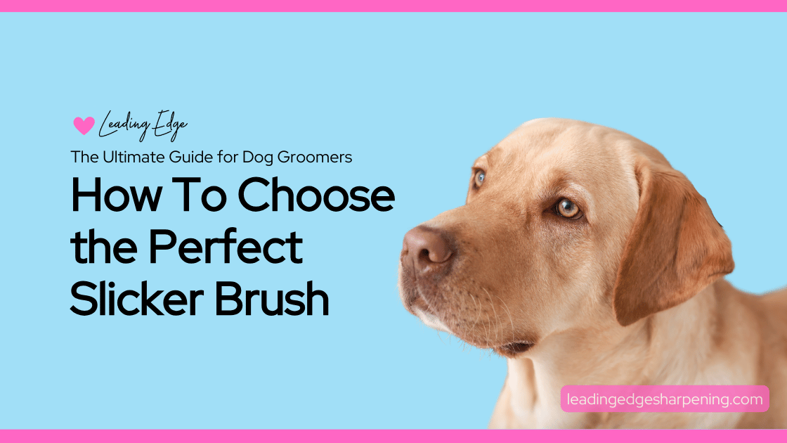How to choose a slicker brush ultimate guide.