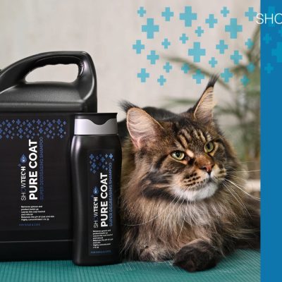 Show Tech+ Pure Coat Degreasing Shampoo for Dogs & Cats