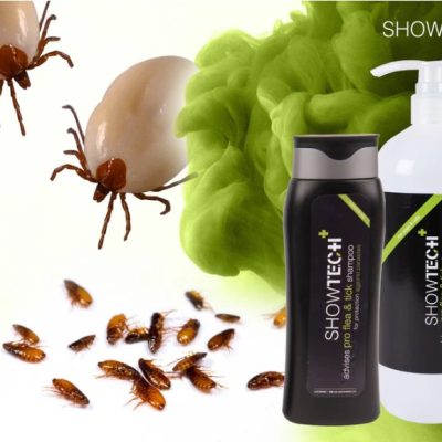 ShowTech+ Flea & Tick Shampoo